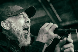 Bokkereidars Blues Band In Cosert