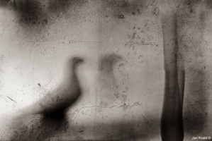 Traces